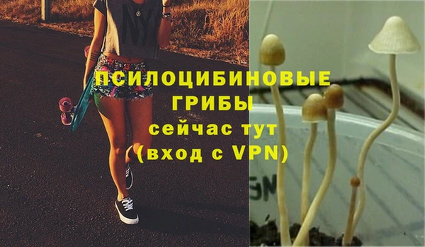 трава Алексин