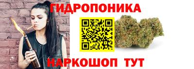 дмт Заволжье
