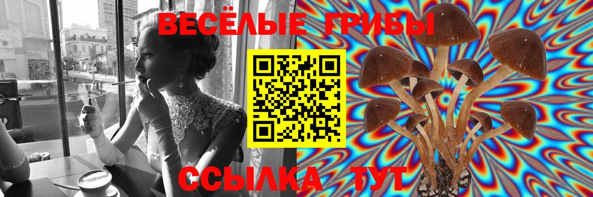 Псилоцибиновые грибы Cubensis  Вход с VPN  Боровичи 